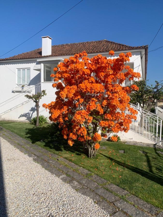 Casa Das Uveiras Pacos de Ferreira Dış mekan fotoğraf